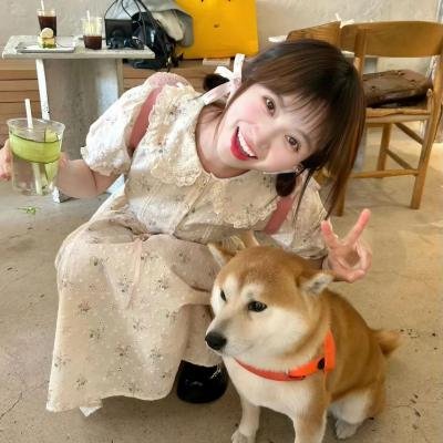 狐狸猎手